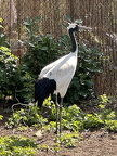 IMG 3786